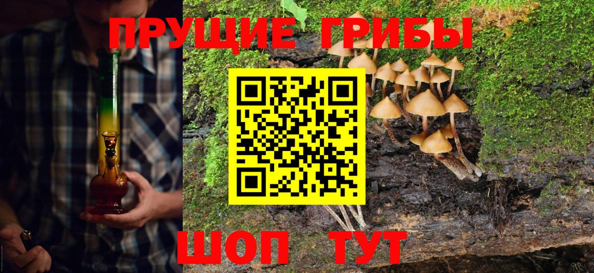 Орехово-Зуево  Галлюциногенные грибы прущие грибы  Вход с VPN  купить наркоту  Псилоцибиновые грибы Psilocybe 